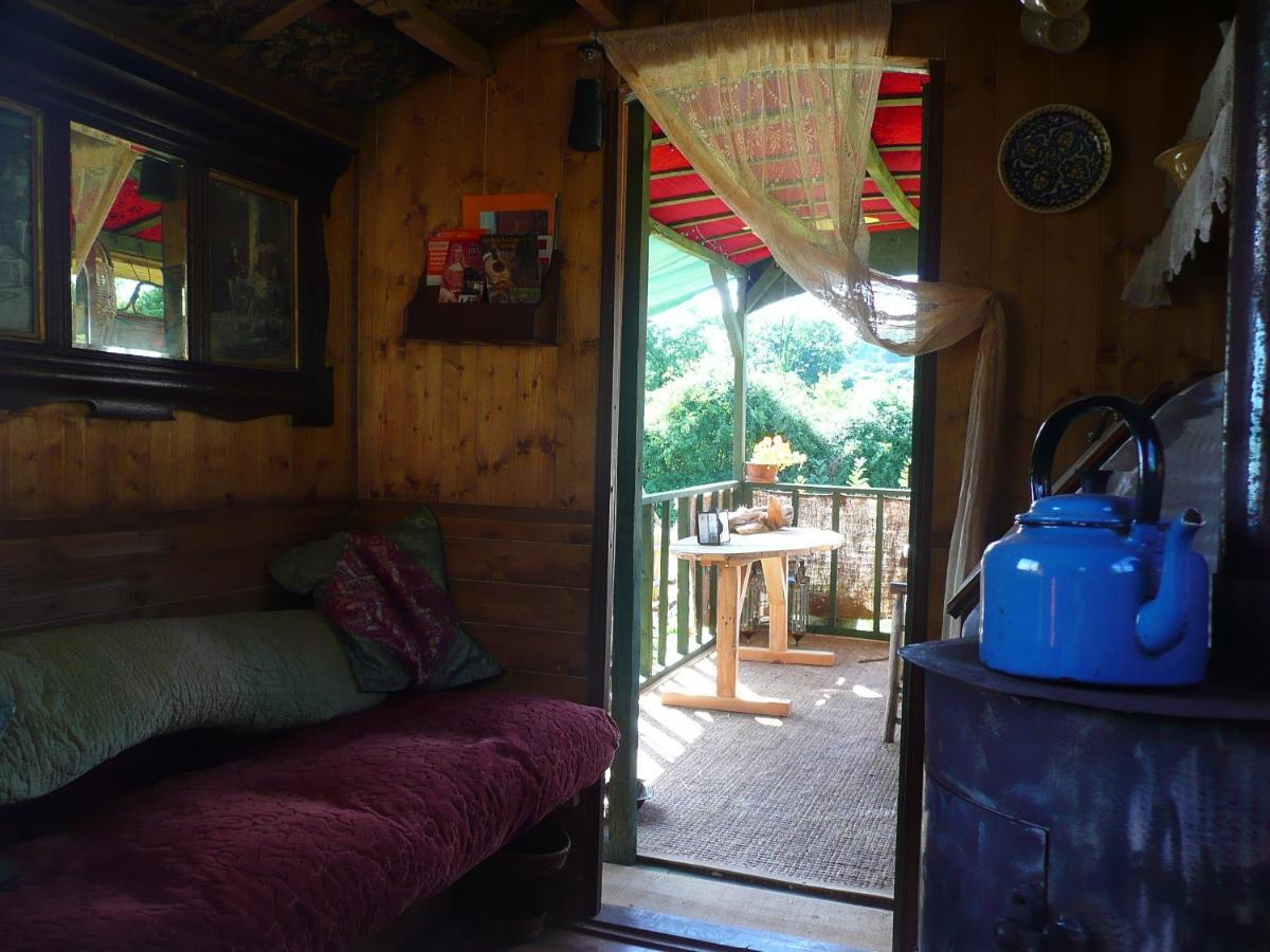 New Inn Brilley Whitney Ngoại thất bức ảnh